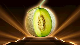 קראון מלון, צילום: shutterstock